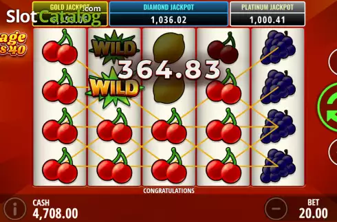 Скрин3. Vintage Fruits 40 слот