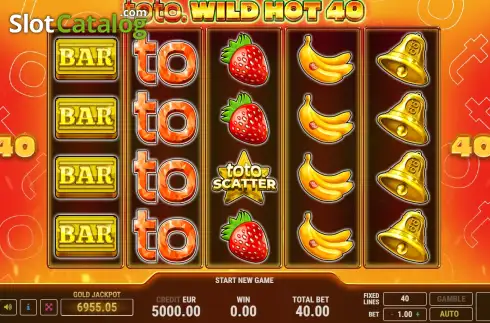 Скрин2. Toto Wild Hot 40 слот