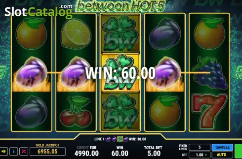 Скрин3. Betwoon Hot 5 слот