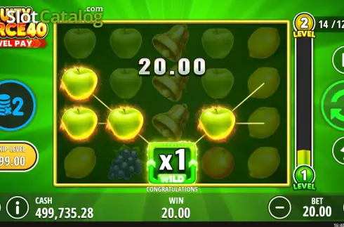 Скрин3. Fruity Force 40 слот