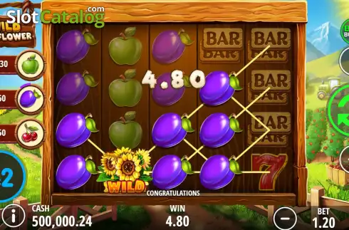 Скрин4. Wild Sunflower слот