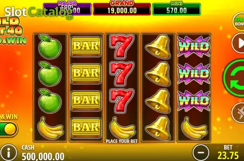Скрин2. Wild Hot 40 Hold & Win слот