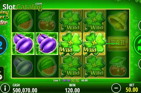 Скрин3. Winning Clover 5 Booster слот