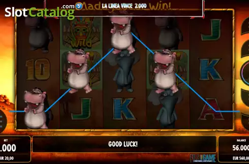 Скрин6. Madagascar Win слот