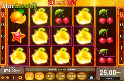 Скрин3. 20 Juicy Hot слот