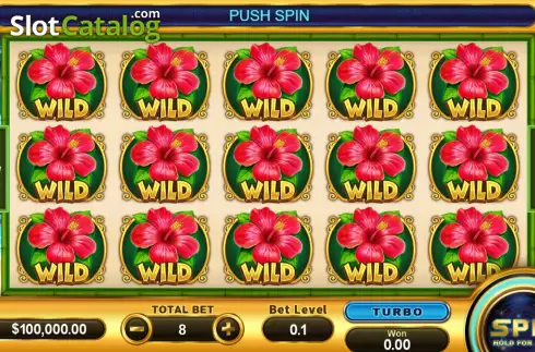 Скрин2. Hawaii (Funky Games) слот