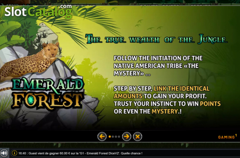 Скрин6. Emerald Forest слот