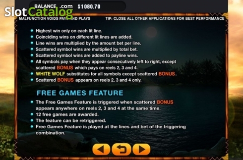 Скрин9. 101 Wolfpack слот