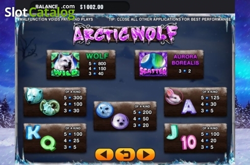 Скрин3. Arctic Wolf слот