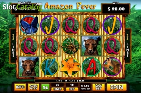 Скрин4. Amazon Fever слот