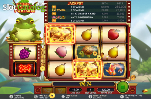 Скрин6. Leap Of Fortune слот