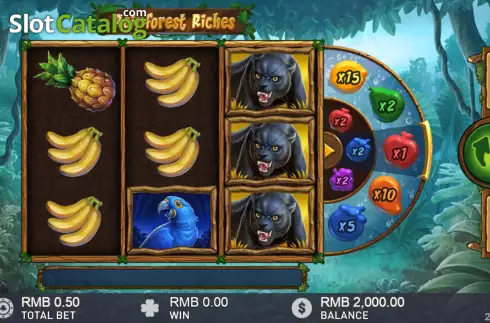 Скрин2. Rainforest Riches слот