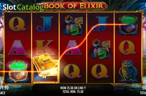 Скрин3. Book of Elixir слот