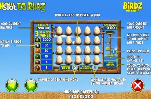 Скрин7. Birdz Instant Win слот