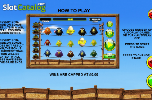 Скрин5. Birdz (Games Warehouse) слот