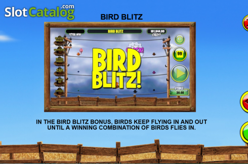 Скрин6. Birdz (Games Warehouse) слот