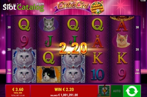 Скрин5. Cutie Cat CCS слот