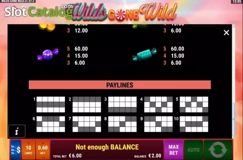 Скрин4. Wilds gone wild слот