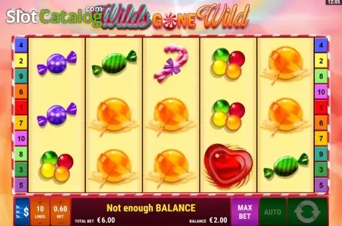 Скрин5. Wilds gone wild слот