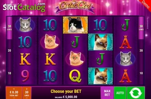 Скрин2. Cutie Cat слот