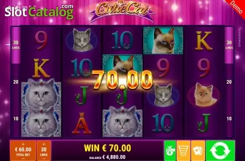 Скрин3. Cutie Cat слот