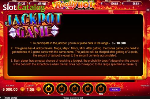 Скрин7. Really Hot Flaming Edition слот