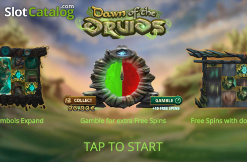Скрин2. Dawn of the Druids слот