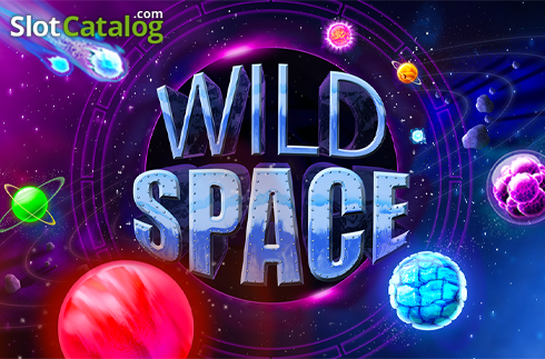 Wild Space логотип