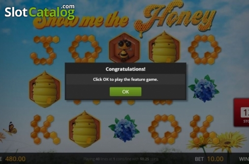 Скрин5. Show Me the Honey (Genii) слот