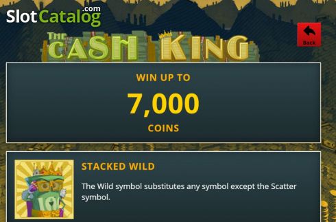 Скрин6. The Cash King слот