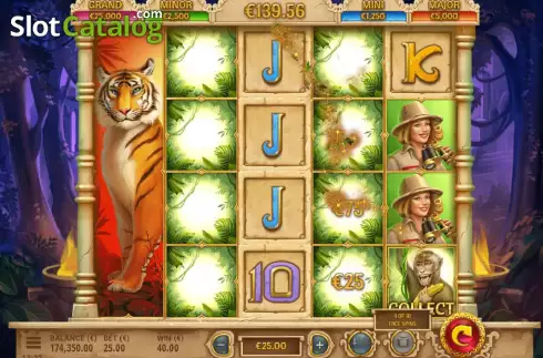 Скрин8. Tiger Tiger слот