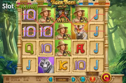 Скрин5. Tiger Tiger слот