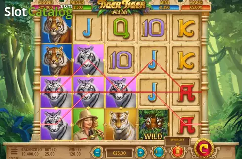 Скрин4. Tiger Tiger слот