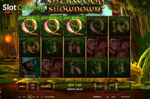 Скрин6. Sherwood Showdown слот