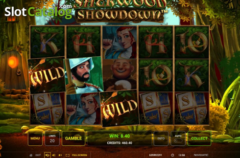 Скрин7. Sherwood Showdown слот