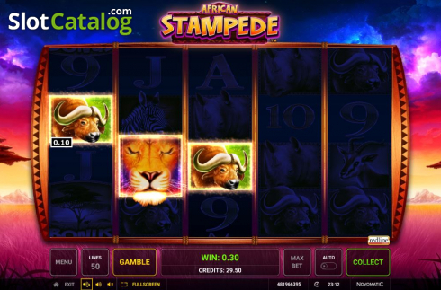 Скрин5. African Stampede слот