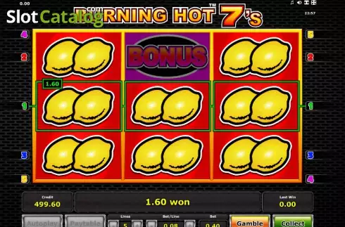 Скрин3. Burning Hot Sevens слот