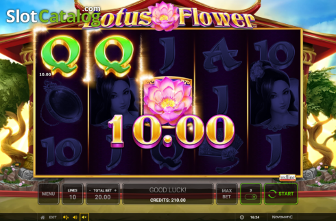 Скрин3. Lotus Flower слот
