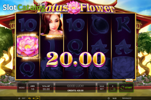 Скрин4. Lotus Flower слот