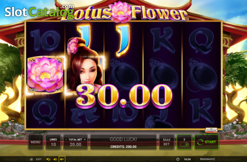 Скрин5. Lotus Flower слот