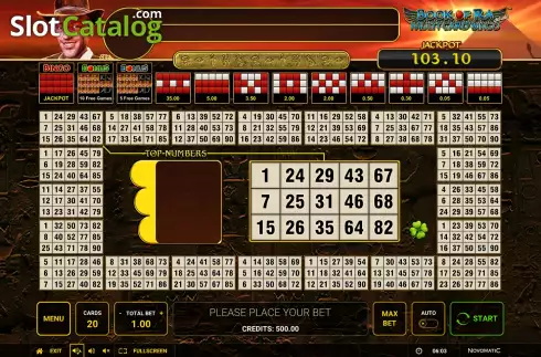 Скрин3. Book of Ra Multi Card Bingo Deluxe слот