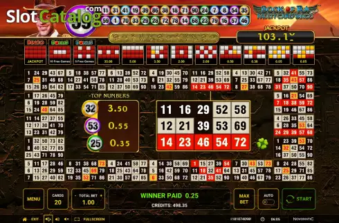 Скрин4. Book of Ra Multi Card Bingo Deluxe слот