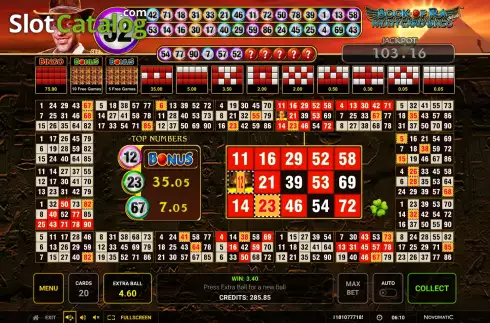 Скрин6. Book of Ra Multi Card Bingo Deluxe слот