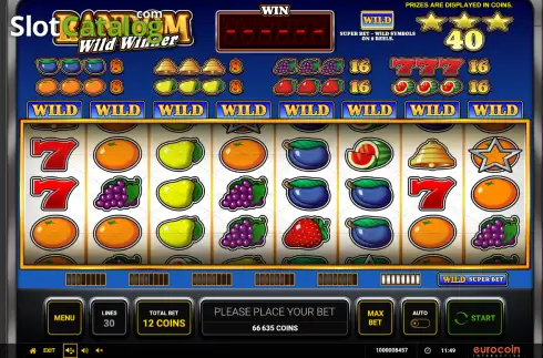 Скрин2. Random Wild Winner слот