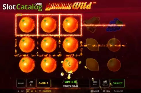 Скрин7. Burning WILD (Greentube) слот