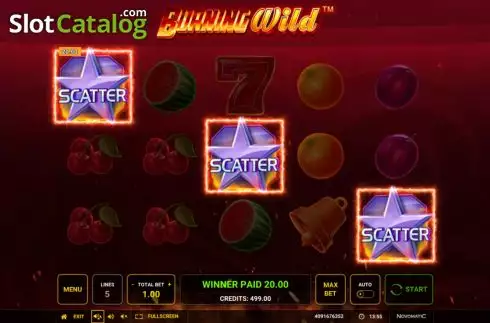 Скрин9. Burning WILD (Greentube) слот