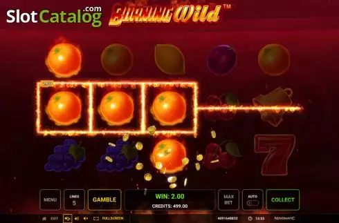 Скрин3. Burning WILD (Greentube) слот