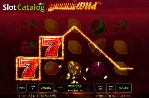 Скрин4. Burning WILD (Greentube) слот