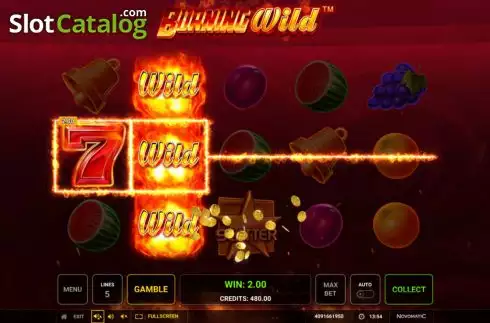 Скрин5. Burning WILD (Greentube) слот
