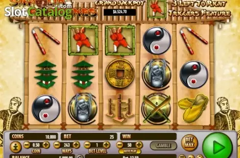 Скрин5. Shaolin Fortunes слот